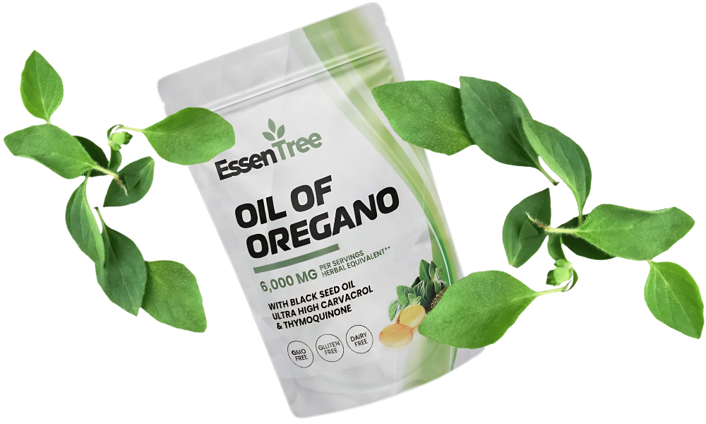4 Reasons To Choose <span>oregano</span>