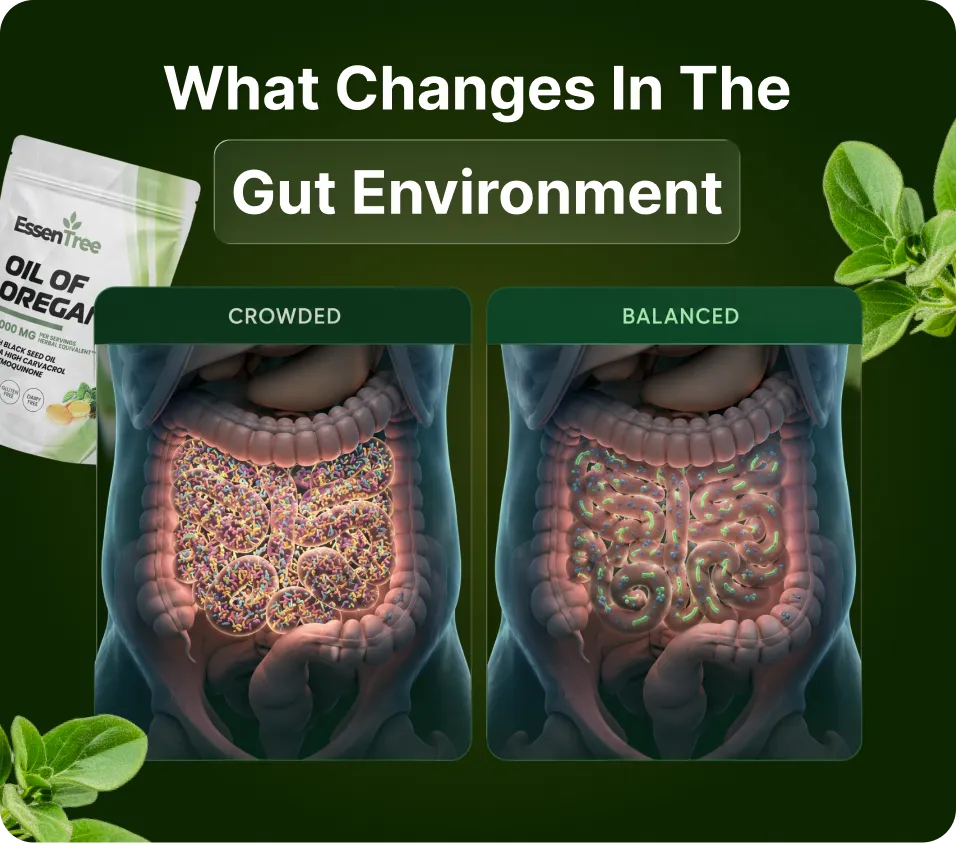 Your Digestion May Become More Regular